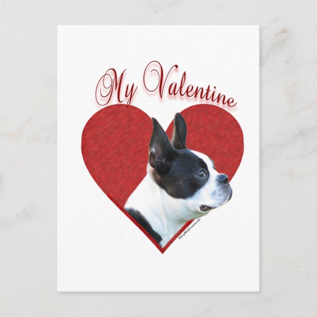 My Boston Terrier Valentine Holiday Postcard (Front)