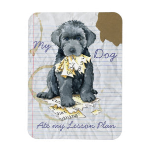 My Bouvier Ate My Lesson Plan Magnet