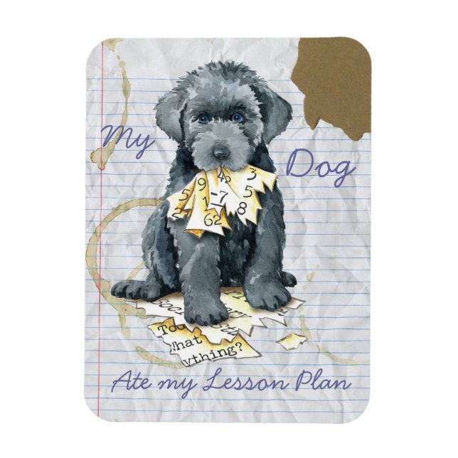 My Bouvier Ate My Lesson Plan Magnet (Vertical)