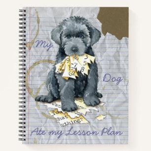 My Bouvier Ate my Lesson Plan Notebook