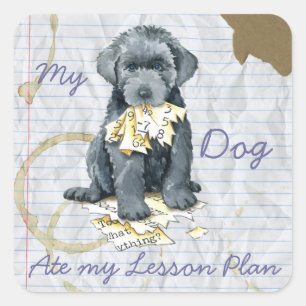 My Bouvier Ate My Lesson Plan Square Sticker