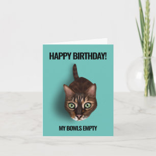 My Bowl Is Empty - Funny Cat Birthday Card