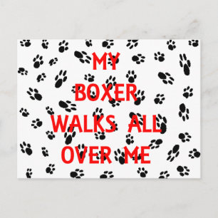 my boxer walks on me postcard