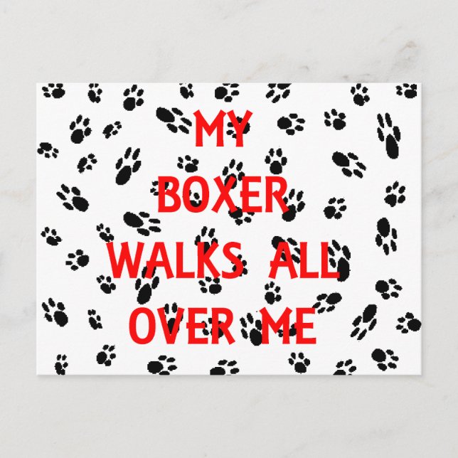 my boxer walks on me postcard (Front)