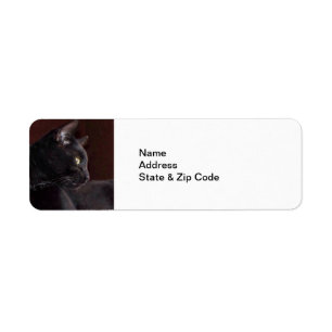 My Boy, Charlie Return Address Labels