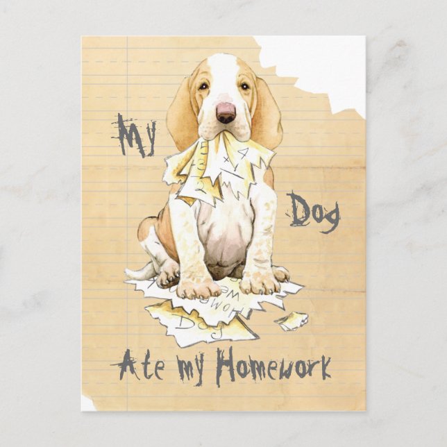 My Bracco Italiano Ate my Homework Postcard (Front)