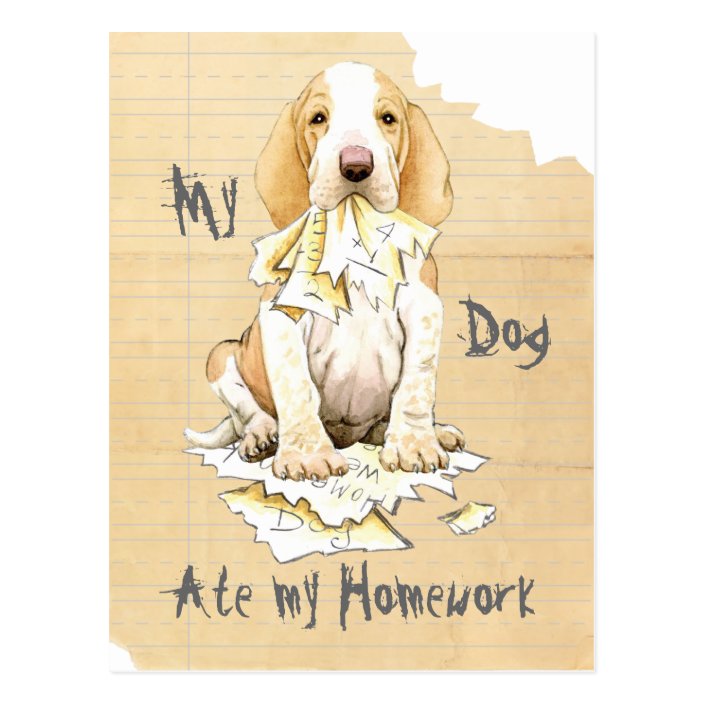 Homework italiano picture