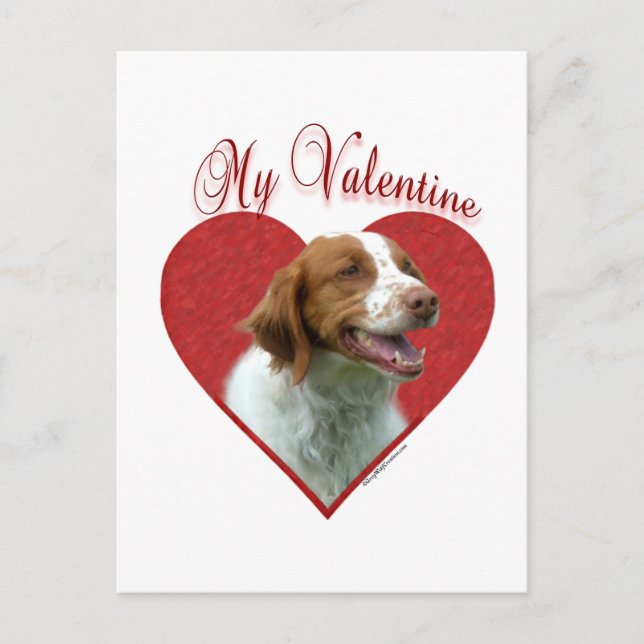 My Brittany Spaniel Valentine Holiday Postcard (Front)