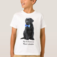 My brother is Black Lab - Black Labrador Puppy Boy