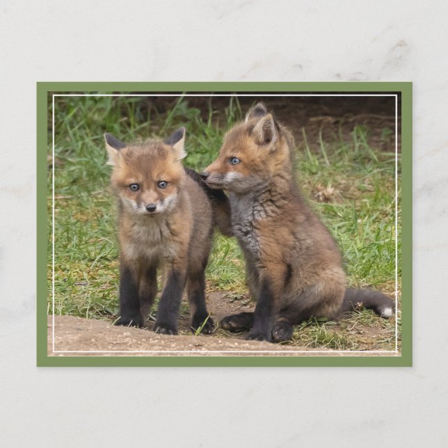 My Brother/Sister My Friend Postcard (Front)