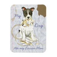 My Canaan Dog Ate My Lesson Plan