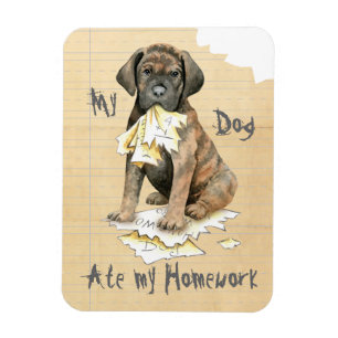My Cane Corso Ate my Homework Magnet