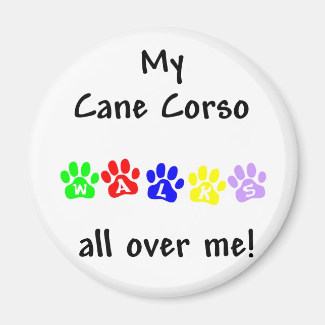 My Cane Corso Walks All over Me Magnet (Front)
