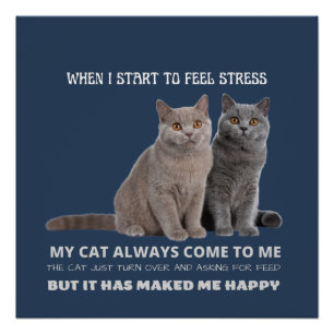 my cat always make me happy  poster