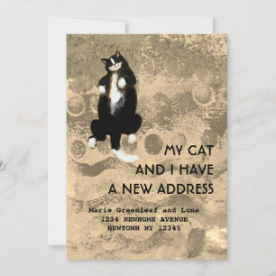 My cat and I have moved Announcement