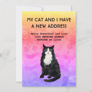 My cat and I have moved Announcement