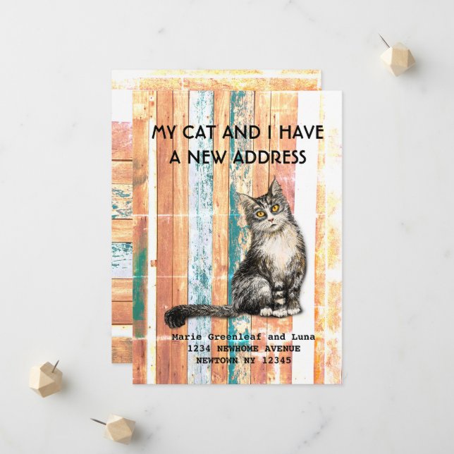 My cat and I have moved Announcement (Front/Back In Situ)