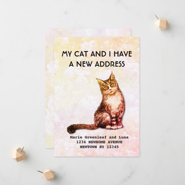 My cat and I have moved Announcement (Front/Back In Situ)