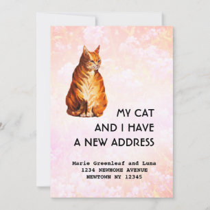 My cat and I have moved Announcement