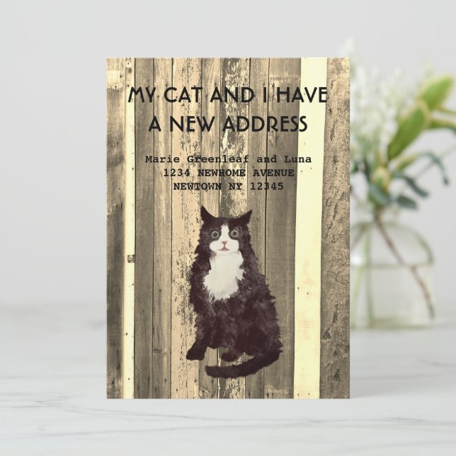 My cat and I have moved Announcement (Standing Front)