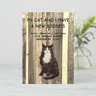 My cat and I have moved Announcement