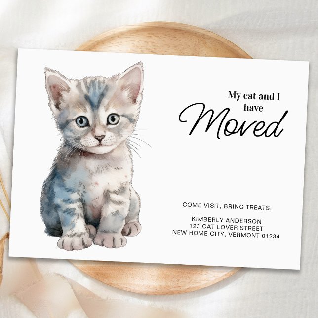 My Cat and I Have Moved Grey Kitten Moving  Announcement Postcard (Creator Uploaded)