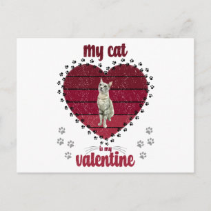 My Cat Is My Valentine Postcard