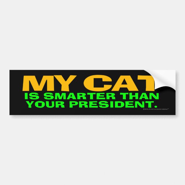 My Cat Is Smarter Than Your President Bumper Sticker (Front)