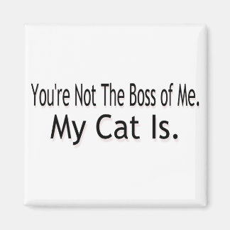 My Cat Magnet