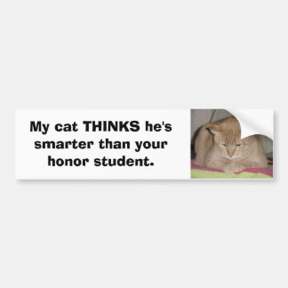 My cat THINKS he's smarter than your honour... Bumper Sticker