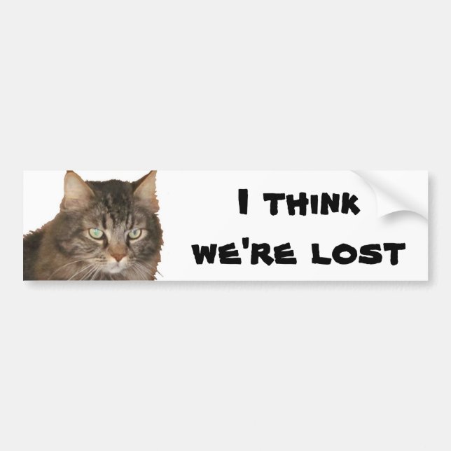 My Cat thinks we're lost Bumper Sticker (Front)