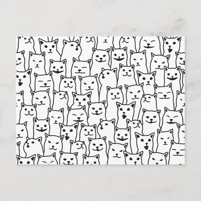 My Cat was right about you funny cats pattern Postcard (Front)