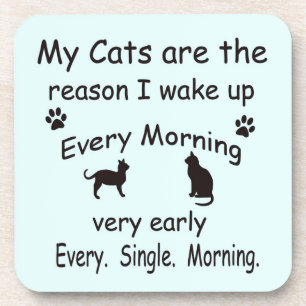 My Cats are the Reason I Wake Up Coaster