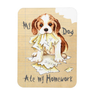 My Cavalier Ate My Homework Magnet