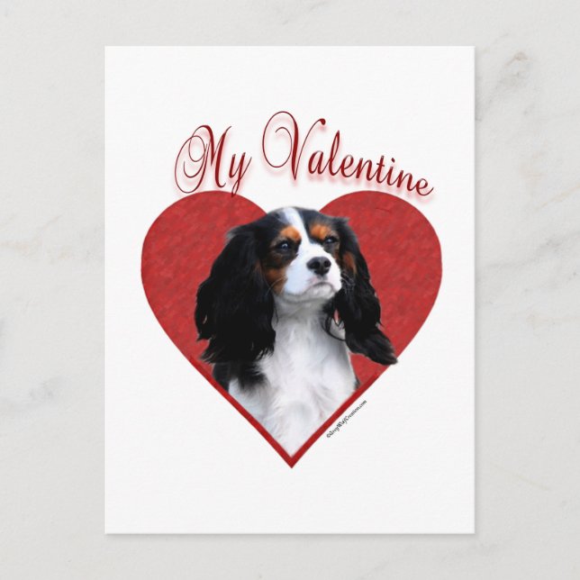 My Cavalier Valentine Holiday Postcard (Front)