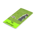 My Chatterings Squirrel Journal #2