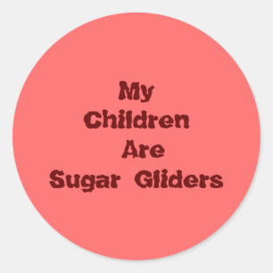My Children Are Sugar Gliders Classic Round Sticker