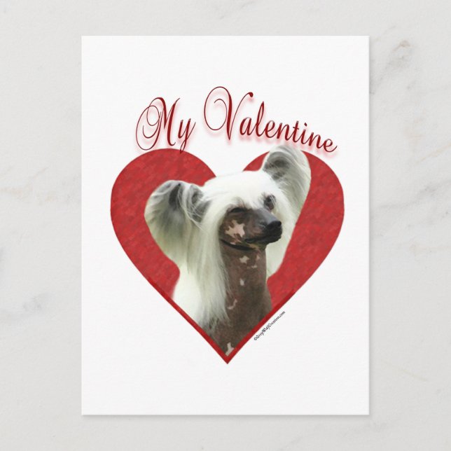 My Chinese Crested Valentine Postcard (Front)