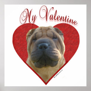 My Chinese Shar-Pei Valentine Poster
