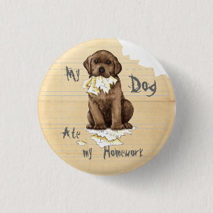 My Chocolate Lab Ate my Homework 3 Cm Round Badge