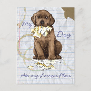 My Chocolate Lab Ate my Lesson Plan Postcard