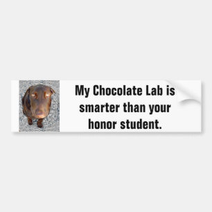 My Chocolate Lab's smarter than your honour Bumper Sticker