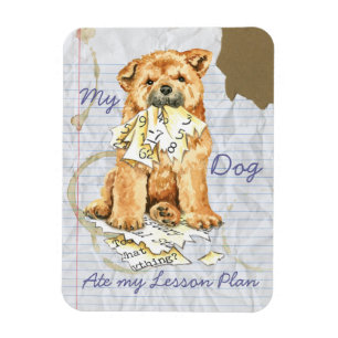 My Chow Chow Ate My Lesson Plan Magnet