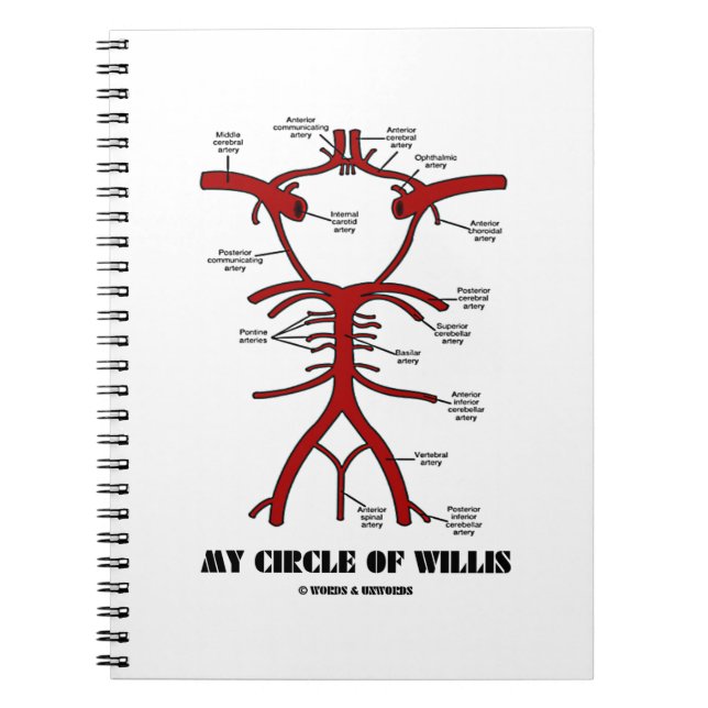 My Circle Of Willis (Anatomical) Notebook (Front)