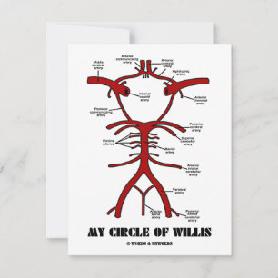 My Circle Of Willis (Arteries Anatomical Humour)