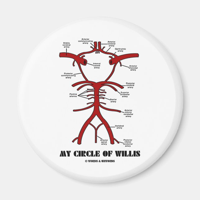 My Circle Of Willis (Arteries Anatomical Humour) Magnet (Front)
