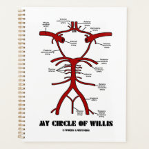 My Circle Of Willis Arteries Anatomical Humour