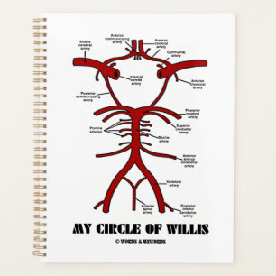 My Circle Of Willis Arteries Anatomical Humour Planner
