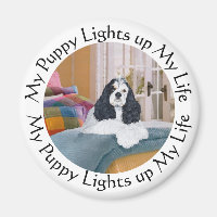 My Cocker Spaniel Lights up my Life
