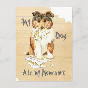 My Collie Ate My Homework Postcard